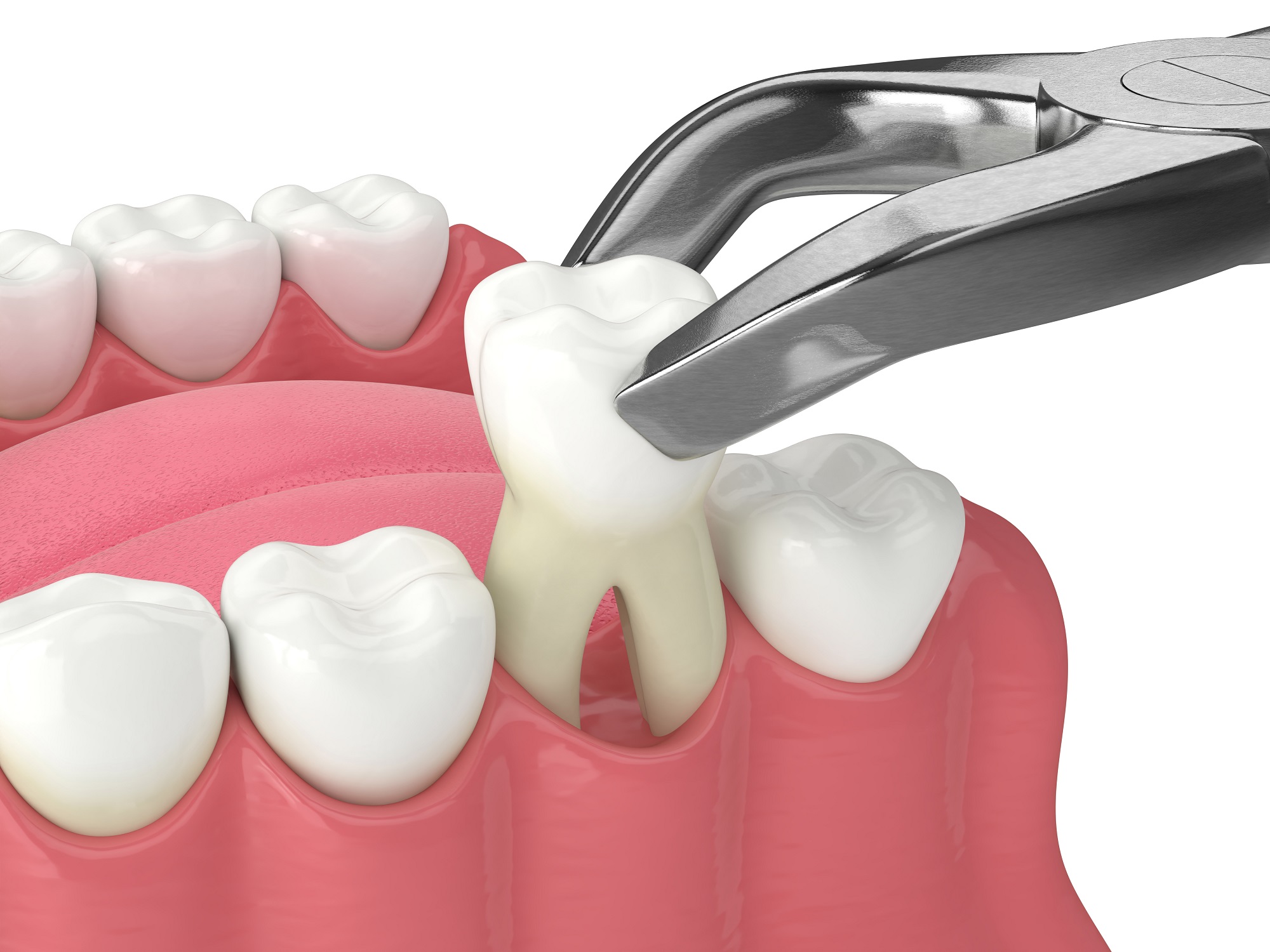 3d render of lower jaw